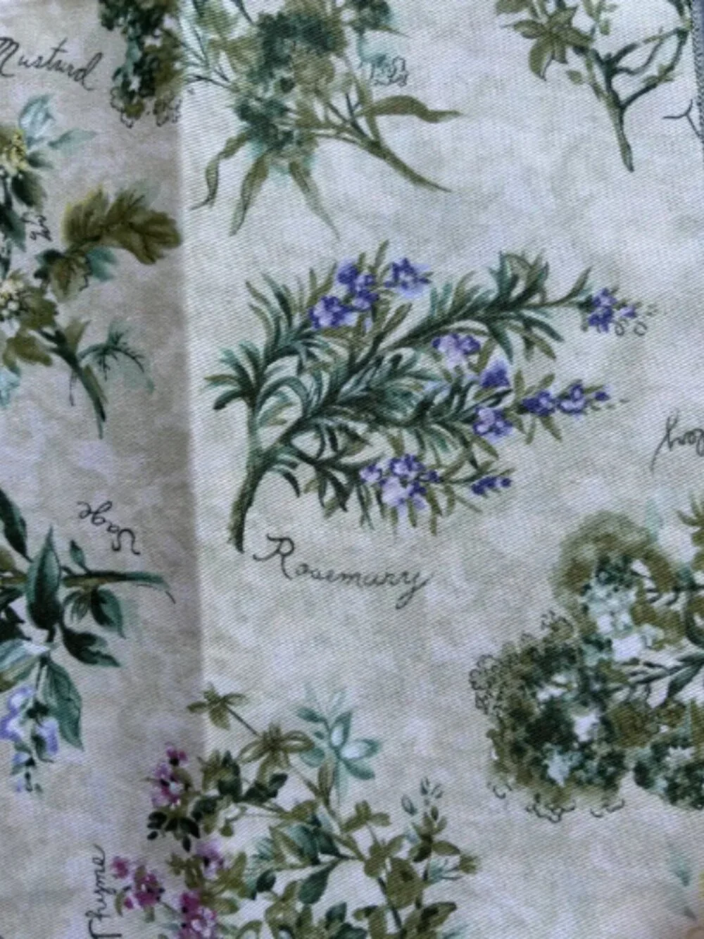Set of 6 Vintage Botanical Herb Cloth Napkins 17